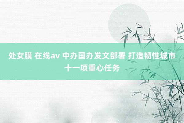 处女膜 在线av 中办国办发文部署 打造韧性城市十一项重心任务