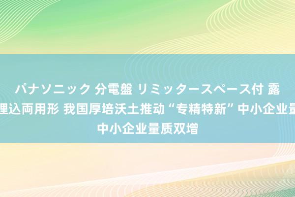 パナソニック 分電盤 リミッタースペース付 露出・半埋込両用形 我国厚培沃土推动“专精特新”中小企业量质双增