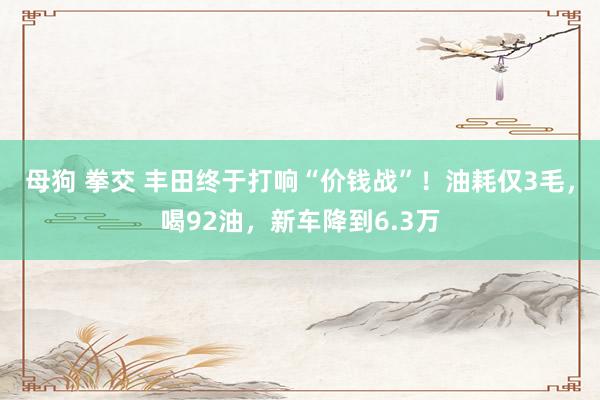 母狗 拳交 丰田终于打响“价钱战”！油耗仅3毛，喝92油，新车降到6.3万