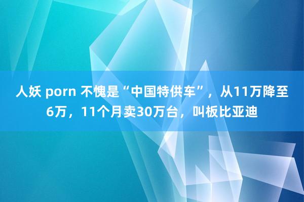 人妖 porn 不愧是“中国特供车”，从11万降至6万，11个月卖30万台，叫板比亚迪