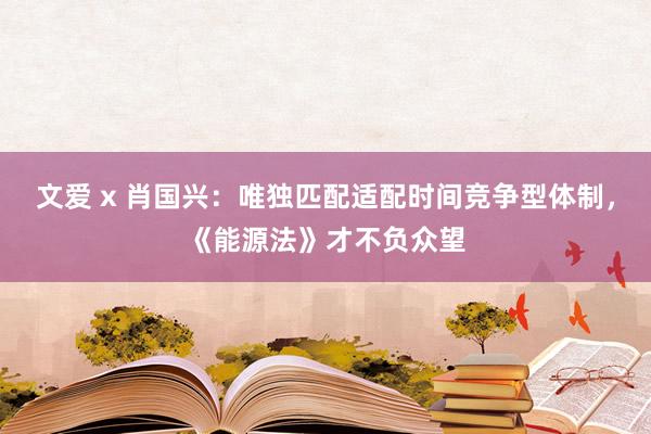 文爱 x 肖国兴：唯独匹配适配时间竞争型体制，《能源法》才不负众望