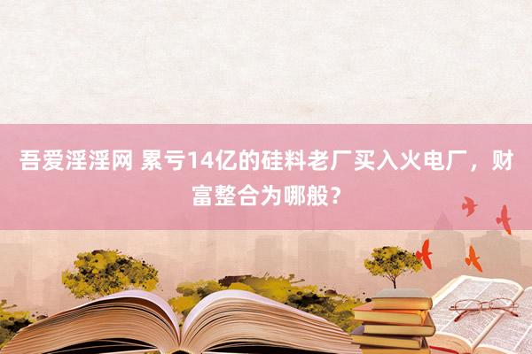 吾爱淫淫网 累亏14亿的硅料老厂买入火电厂，财富整合为哪般？