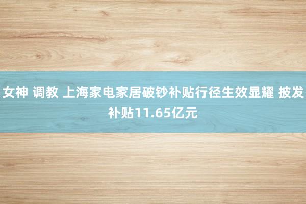 女神 调教 上海家电家居破钞补贴行径生效显耀 披发补贴11.65亿元