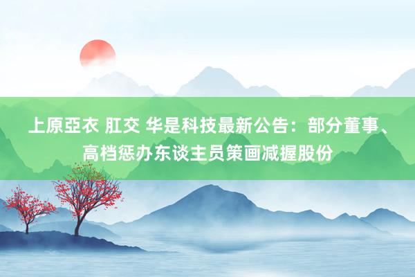 上原亞衣 肛交 华是科技最新公告：部分董事、高档惩办东谈主员策画减握股份