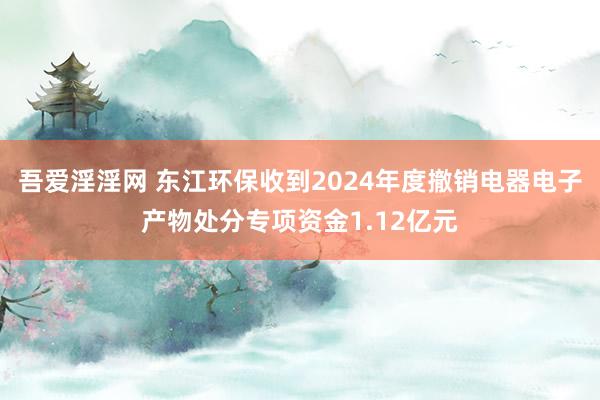 吾爱淫淫网 东江环保收到2024年度撤销电器电子产物处分专项资金1.12亿元