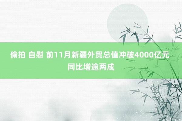 偷拍 自慰 前11月新疆外贸总值冲破4000亿元 同比增逾两成