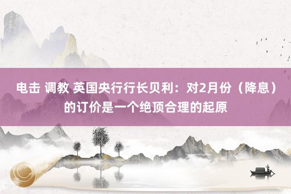 电击 调教 英国央行行长贝利：对2月份（降息）的订价是一个绝顶合理的起原