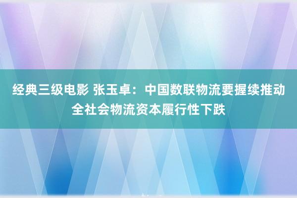 经典三级电影 张玉卓：中国数联物流要握续推动全社会物流资本履行性下跌