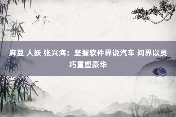 麻豆 人妖 张兴海：坚握软件界说汽车 问界以灵巧重塑豪华