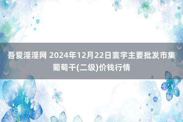 吾爱淫淫网 2024年12月22日寰宇主要批发市集葡萄干(二级)价钱行情