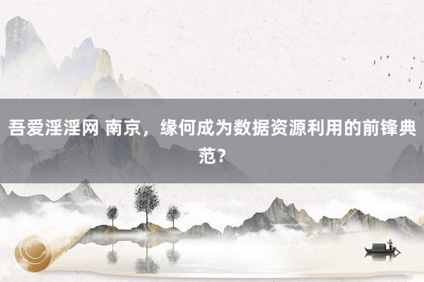 吾爱淫淫网 南京，缘何成为数据资源利用的前锋典范？