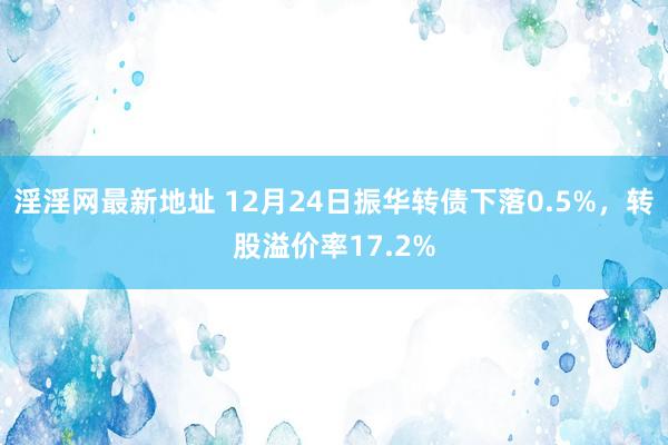 淫淫网最新地址 12月24日振华转债下落0.5%，转股溢价率17.2%