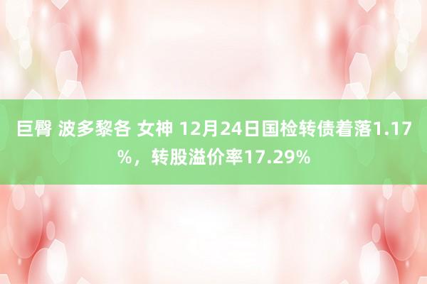 巨臀 波多黎各 女神 12月24日国检转债着落1.17%，转股溢价率17.29%