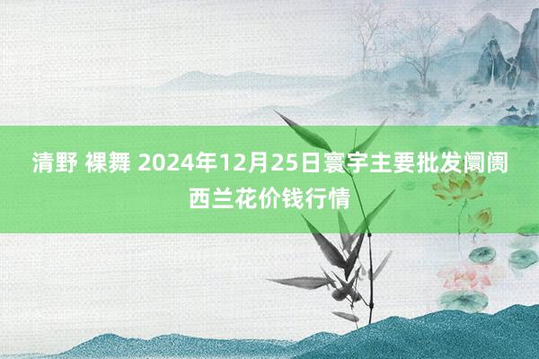 清野 裸舞 2024年12月25日寰宇主要批发阛阓西兰花价钱行情