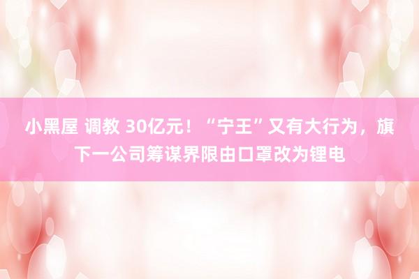 小黑屋 调教 30亿元！“宁王”又有大行为，旗下一公司筹谋界限由口罩改为锂电