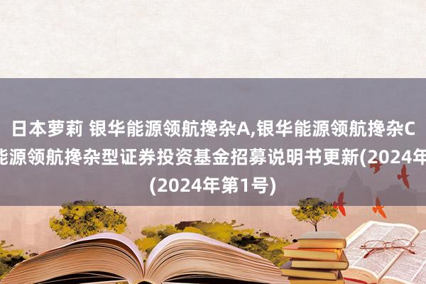 日本萝莉 银华能源领航搀杂A,银华能源领航搀杂C: 银华能源领航搀杂型证券投资基金招募说明书更新(2