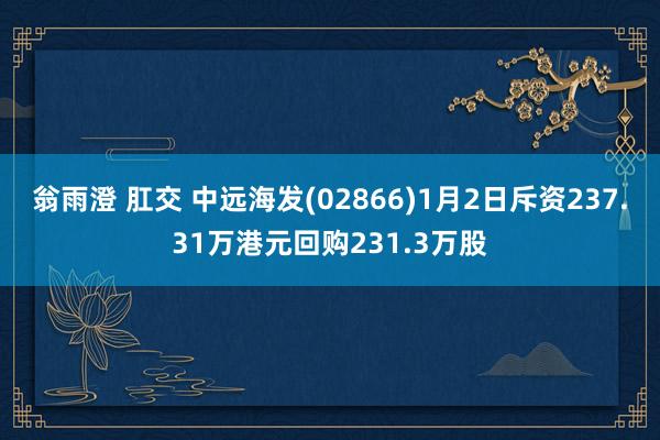 翁雨澄 肛交 中远海发(02866)1月2日斥资237.31万港元回购231.3万股