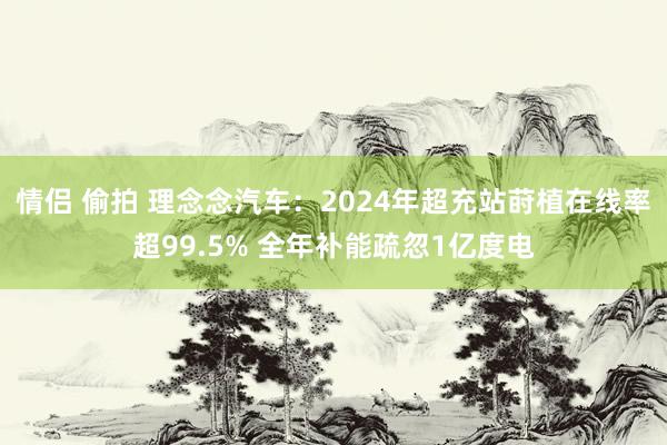 情侣 偷拍 理念念汽车：2024年超充站莳植在线率超99.5% 全年补能疏忽1亿度电