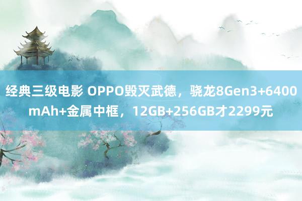 经典三级电影 OPPO毁灭武德，骁龙8Gen3+6400mAh+金属中框，12GB+256GB才22