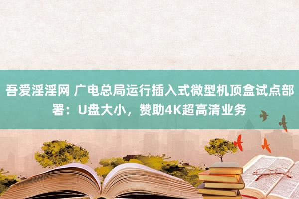 吾爱淫淫网 广电总局运行插入式微型机顶盒试点部署：U盘大小，赞助4K超高清业务