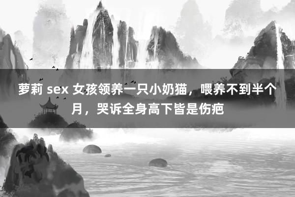 萝莉 sex 女孩领养一只小奶猫，喂养不到半个月，哭诉全身高下皆是伤疤