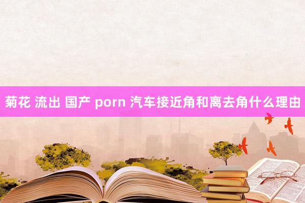 菊花 流出 国产 porn 汽车接近角和离去角什么理由