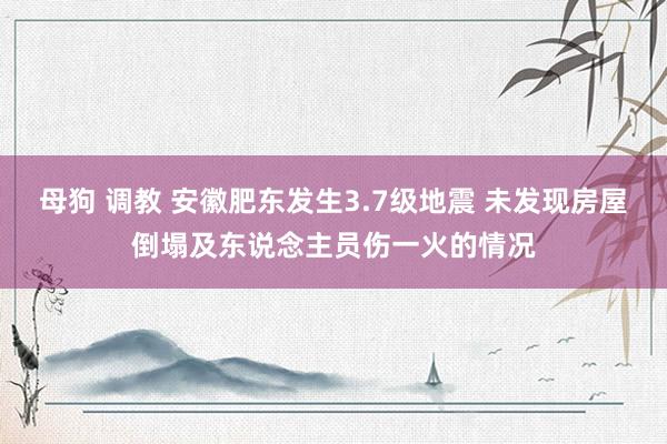 母狗 调教 安徽肥东发生3.7级地震 未发现房屋倒塌及东说念主员伤一火的情况