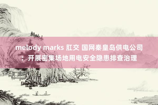 melody marks 肛交 国网秦皇岛供电公司：开展密集场地用电安全隐患排查治理