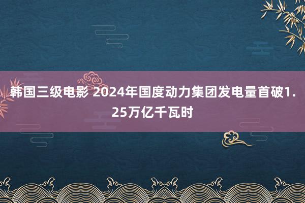 韩国三级电影 2024年国度动力集团发电量首破1.25万亿千瓦时