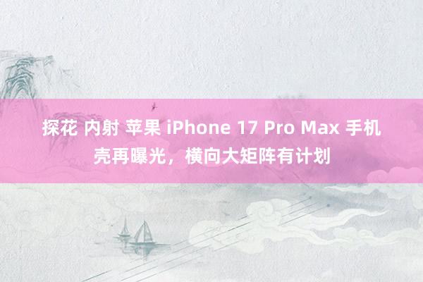 探花 内射 苹果 iPhone 17 Pro Max 手机壳再曝光，横向大矩阵有计划
