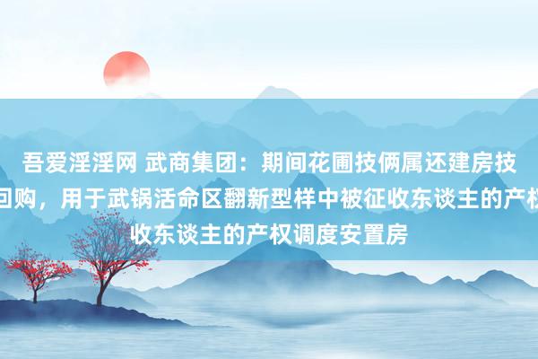 吾爱淫淫网 武商集团：期间花圃技俩属还建房技俩，由政府回购，用于武锅活命区翻新型样中被征收东谈主的产权调度安置房