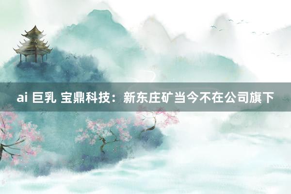 ai 巨乳 宝鼎科技：新东庄矿当今不在公司旗下