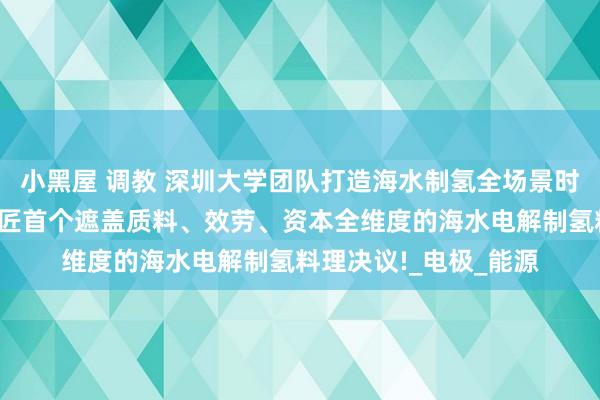 小黑屋 调教 深圳大学团队打造海水制氢全场景时刻矩阵！到手发布巨匠首个遮盖质料、效劳、资本全维度的海