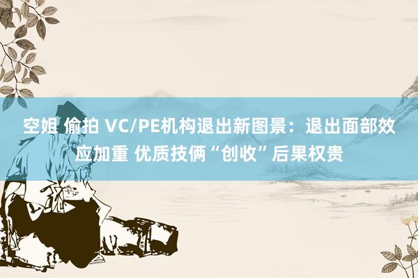 空姐 偷拍 VC/PE机构退出新图景：退出面部效应加重 优质技俩“创收”后果权贵